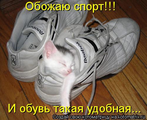 Обожаю спорт!!! И обувь такая удобная...... Котоматрица: Обожаю спорт!!! И обувь такая удобная...