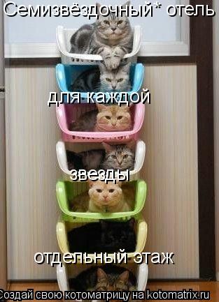 Семизвёздочный* отель для каждой звезды отдельный этаж... Котоматрица: Семизвёздочный* отель для каждой звезды отдельный этаж
