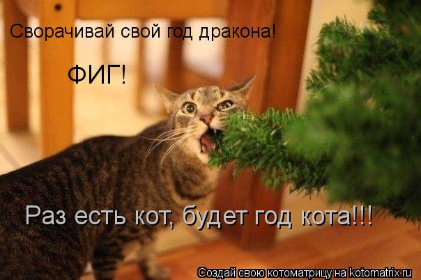 Сворачивай свой год дракона! ФИГ! Раз есть кот, будет год кота!!!... Котоматрица: Сворачивай свой год дракона! ФИГ! Раз есть кот, будет год кота!!!