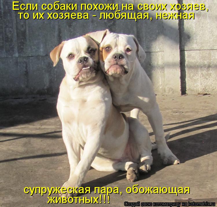 Если собаки похожи на своих хозяев, то их хозяева - любящая, нежная животных!!! супружеская пара, обо... Котоматрица: Если собаки похожи на своих хозяев, то их хозяева - любящая, нежная животных!!! супружеская пара, обожающая