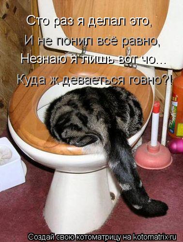 Сто раз я делал это, И не понил всё равно, Незнаю я лишь вот чо... Куда ж деваеться говно?!... Котоматрица: Сто раз я делал это, И не понил всё равно, Незнаю я лишь вот чо... Куда ж деваеться говно?!