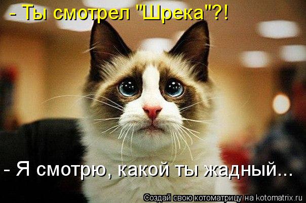 Котоматрица: - Ты смотрел "Шрека"?! - Я смотрю, какой ты жадный...