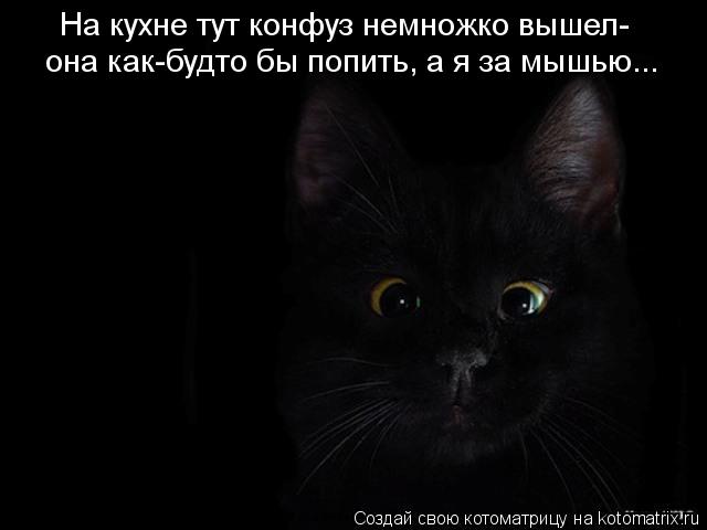 На кухне тут конфуз немножко вышел- она как-будто бы попить, а я за мышью...... Котоматрица: На кухне тут конфуз немножко вышел- она как-будто бы попить, а я за мышью...