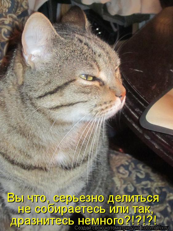 Котоматрица: Вы что, серьезно делиться  не собираетесь или так, дразнитесь немного?!?!?!