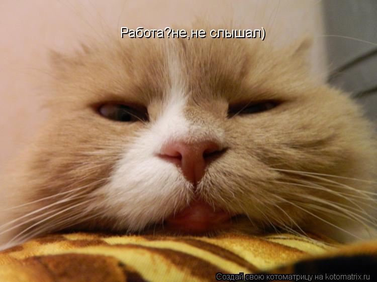 Котоматрица: Работа?не,не слышал)