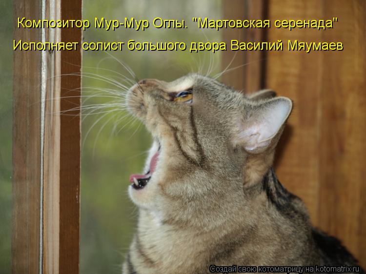 Котоматрица: Композитор Мур-Мур Оглы. "Мартовская серенада" Исполняет солист большого двора Василий Мяумаев