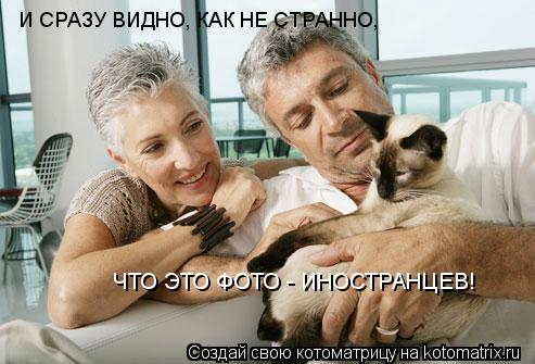 Котоматрица: И СРАЗУ ВИДНО, КАК НЕ СТРАННО, ЧТО ЭТО ФОТО - ИНОСТРАНЦЕВ!