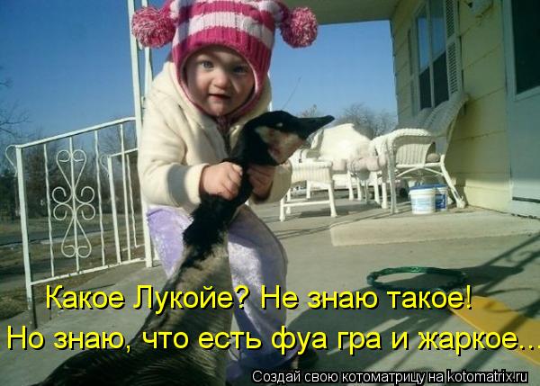 Какое Лукойе? Не знаю такое! Но знаю, что есть фуа гра и жаркое...... Котоматрица: Какое Лукойе? Не знаю такое! Но знаю, что есть фуа гра и жаркое...
