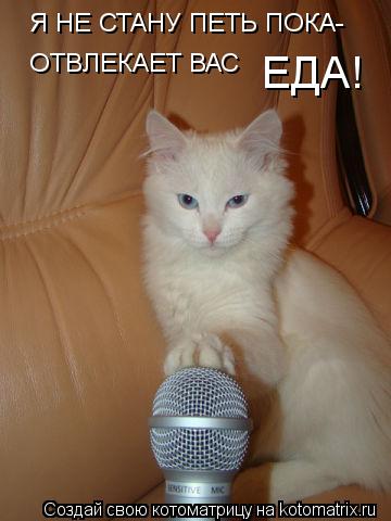 Котоматрица: Я НЕ СТАНУ ПЕТЬ ПОКА- ОТВЛЕКАЕТ ВАС  ЕДА!