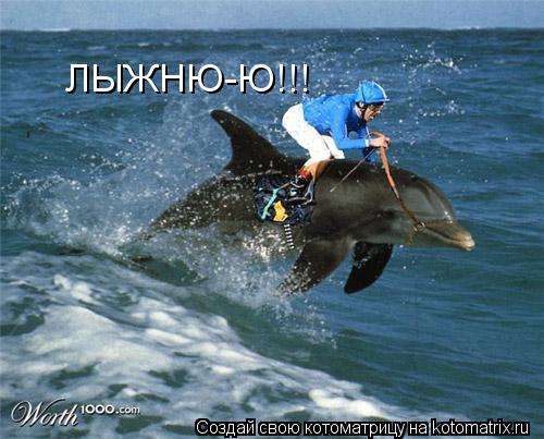 Котоматрица: ЛЫЖНЮ-Ю!!!