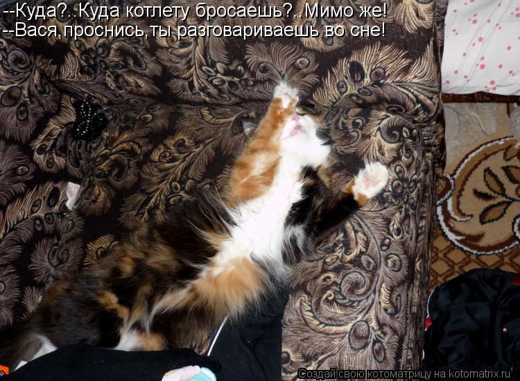 --Куда?..Куда котлету бросаешь?..Мимо же! --Вася,проснись,ты разговариваешь во сне!... Котоматрица: --Куда?..Куда котлету бросаешь?..Мимо же! --Вася,проснись,ты разговариваешь во сне!