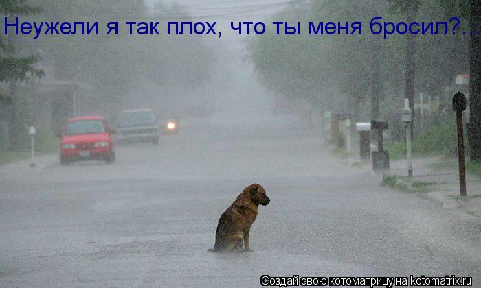 Неужели я так плох, что ты меня бросил?...... Котоматрица: Неужели я так плох, что ты меня бросил?...