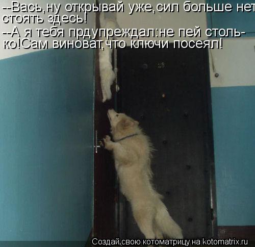 --Вась,ну открывай уже,сил больше нет стоять здесь! --А я тебя прдупреждал:не пей столь- ко!Сам винов... Котоматрица: --Вась,ну открывай уже,сил больше нет стоять здесь! --А я тебя прдупреждал:не пей столь- ко!Сам виноват,что ключи посеял!