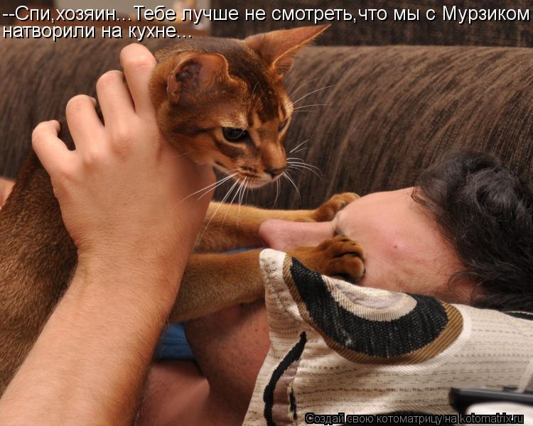 --Спи,хозяин...Тебе лучше не смотреть,что мы с Мурзиком натворили на кухне...... Котоматрица: --Спи,хозяин...Тебе лучше не смотреть,что мы с Мурзиком натворили на кухне...