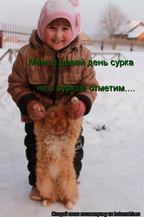 Котоматрица: Мам, а давай день сурка не с сурком отметим....