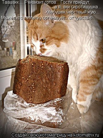 Котоматрица: Таааакк.... Реквизит готов... Гости прийдут,  а я, аки сиротишушка... Хлебушек черствый жую... Может кто котлетку организует - от чувств-с...