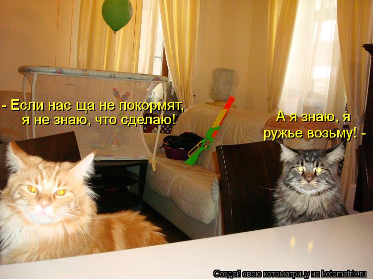 Котоматрица: - Если нас ща не покормят,  я не знаю, что сделаю! ружье возьму! -  А я знаю, я