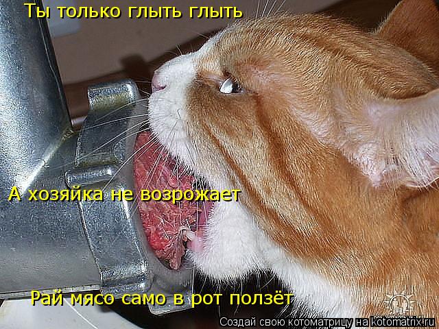 Котоматрица: Рай мясо само в рот ползёт  Ты только глыть глыть А хозяйка не возрожает