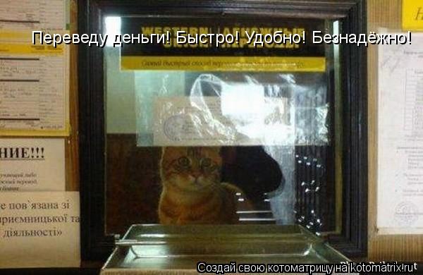 Переведу деньги! Быстро! Удобно! Безнадёжно!... Котоматрица: Переведу деньги! Быстро! Удобно! Безнадёжно!