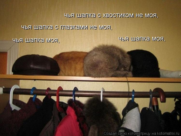 чья шапка моя, чья шапка моя, чья шапка с глазками не моя, чья шапка с хвостиком не моя,... Котоматрица: чья шапка моя, чья шапка моя, чья шапка с глазками не моя, чья шапка с хвостиком не моя,