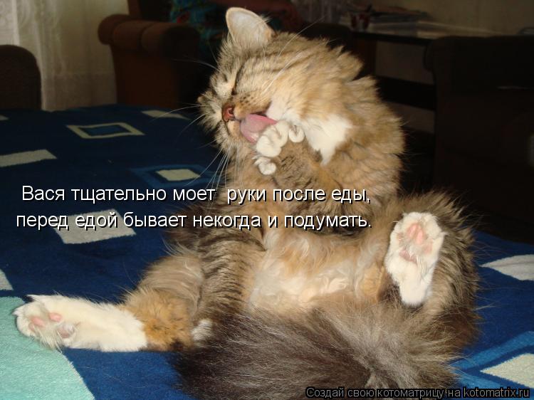 перед едой бывает некогда и подумать. Вася тщательно моет руки после еды,... Котоматрица: перед едой бывает некогда и подумать. Вася тщательно моет руки после еды,