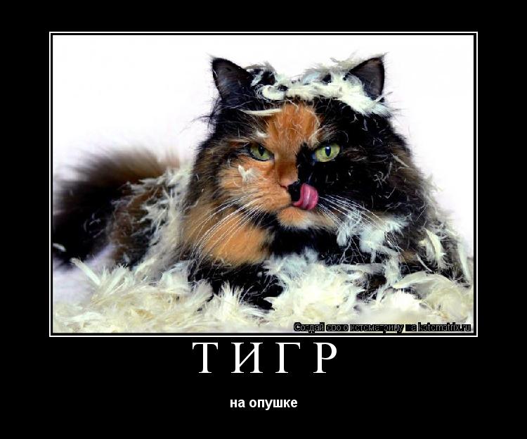 Тигр на опушке... Котоматрица: Тигр на опушке