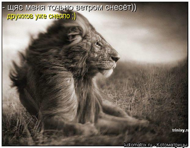 - щяс меня точьно ветром снесёт)) дружков уже снесло ;)... Котоматрица: - щяс меня точьно ветром снесёт)) дружков уже снесло ;)