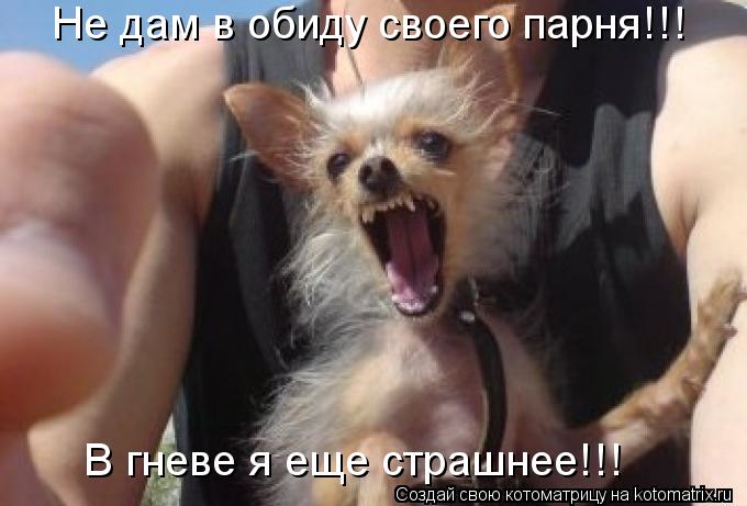 Не дам в обиду своего парня!!! В гневе я еще страшнее!!!... Котоматрица: Не дам в обиду своего парня!!! В гневе я еще страшнее!!!