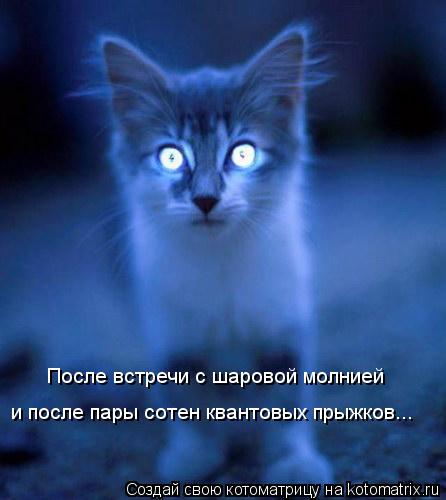 После встречи с шаровой молнией и после пары сотен квантовых прыжков...... Котоматрица: После встречи с шаровой молнией и после пары сотен квантовых прыжков...