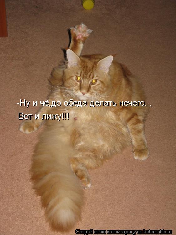 -Ну и чё,до обеда делать нечего... Вот и лижу!!!... Котоматрица: -Ну и чё,до обеда делать нечего... Вот и лижу!!!