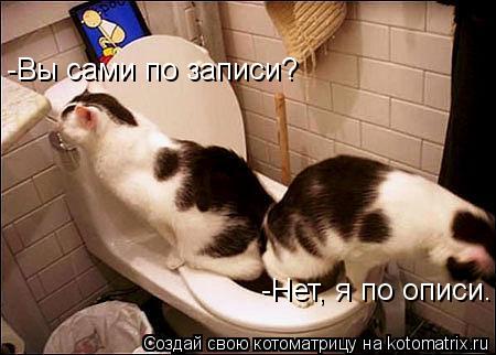 -Вы сами по записи? -Нет, я по описи.... Котоматрица: -Вы сами по записи? -Нет, я по описи.