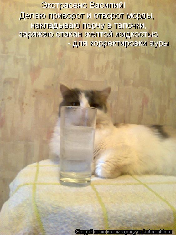 Экстрасенс Василий! Делаю приворот и отворот морды, накладываю порчу в тапочки, заряжаю стакан желтой... Котоматрица: Экстрасенс Василий! Делаю приворот и отворот морды, накладываю порчу в тапочки, заряжаю стакан желтой жидкостью - для корректировки ауры.