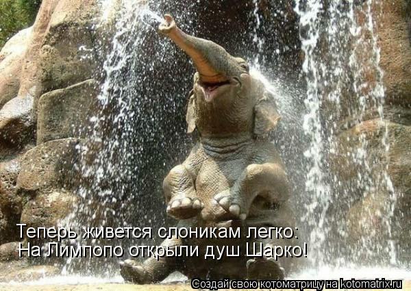 Теперь живется слоникам легко: На Лимпопо открыли душ Шарко!... Котоматрица: Теперь живется слоникам легко: На Лимпопо открыли душ Шарко!