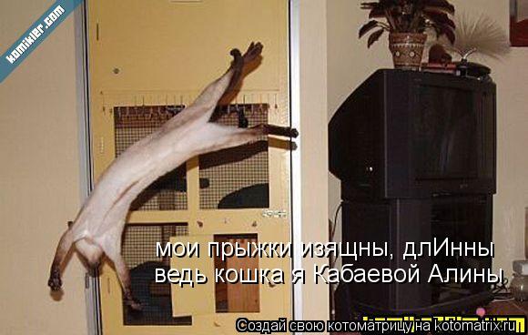 мои прыжки изящны, длИнны ведь кошка я Кабаевой Алины... Котоматрица: мои прыжки изящны, длИнны ведь кошка я Кабаевой Алины