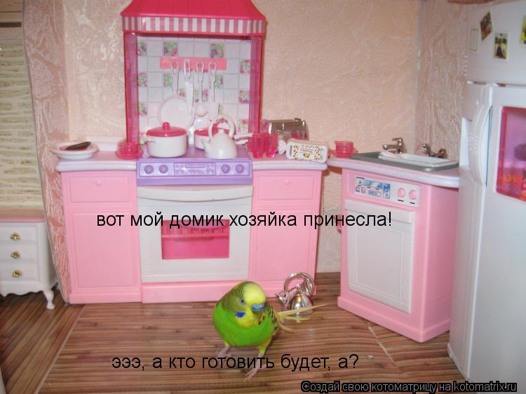 вот мой домик хозяйка принесла! эээ, а кто готовить будет, а?... Котоматрица: вот мой домик хозяйка принесла! эээ, а кто готовить будет, а?