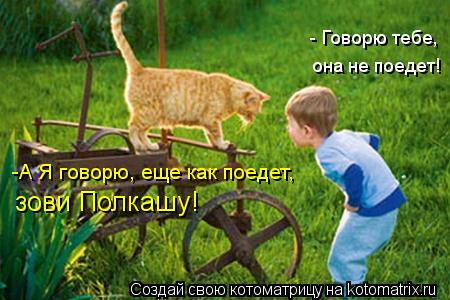 - Говорю тебе, она не поедет! -А Я говорю, еще как поедет, зови Полкашу!... Котоматрица: - Говорю тебе, она не поедет! -А Я говорю, еще как поедет, зови Полкашу!