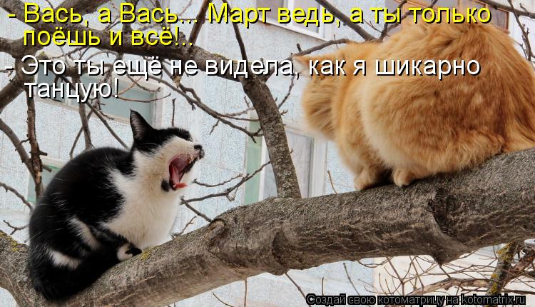 - Вась, а Вась... Март ведь, а ты только поёшь и всё!.. - Это ты ещё не видела, как я шикарно танцую!... Котоматрица: - Вась, а Вась... Март ведь, а ты только поёшь и всё!.. - Это ты ещё не видела, как я шикарно танцую!