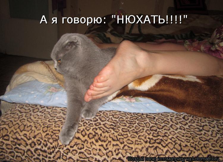 А я говорю: "НЮХАТЬ!!!!"... Котоматрица: А я говорю: "НЮХАТЬ!!!!"