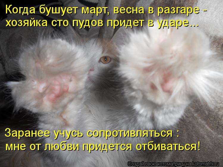 Котоматрица: Когда бушует март, весна в разгаре -  хозяйка сто пудов придет в ударе... Заранее учусь сопротивляться :  мне от любви придется отбиваться!