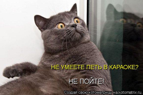 НЕ УМЕЕТЕ ПЕТЬ В КАРАОКЕ? НЕ ПОЙТЕ!... Котоматрица: НЕ УМЕЕТЕ ПЕТЬ В КАРАОКЕ? НЕ ПОЙТЕ!