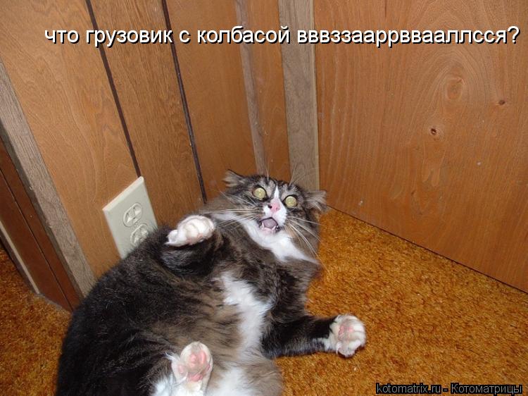 что грузовик с колбасой вввззааррввааллсся?... Котоматрица: что грузовик с колбасой вввззааррввааллсся?