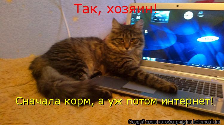 Так, хозяин! Сначала корм, а уж потом интернет!... Котоматрица: Так, хозяин! Сначала корм, а уж потом интернет!