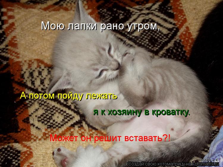 Мою лапки рано утром, А потом пойду лежать я к хозяину в кроватку. Может он решит вставать?!... Котоматрица: Мою лапки рано утром, А потом пойду лежать я к хозяину в кроватку. Может он решит вставать?!