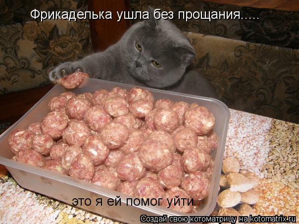 Фрикаделька ушла без прощания..... это я ей помог уйти... Котоматрица: Фрикаделька ушла без прощания..... это я ей помог уйти