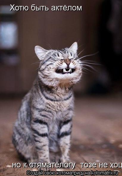 Хотю быть актёлом но к стяматёлогу тозе не хоцю... Котоматрица: Хотю быть актёлом но к стяматёлогу тозе не хоцю