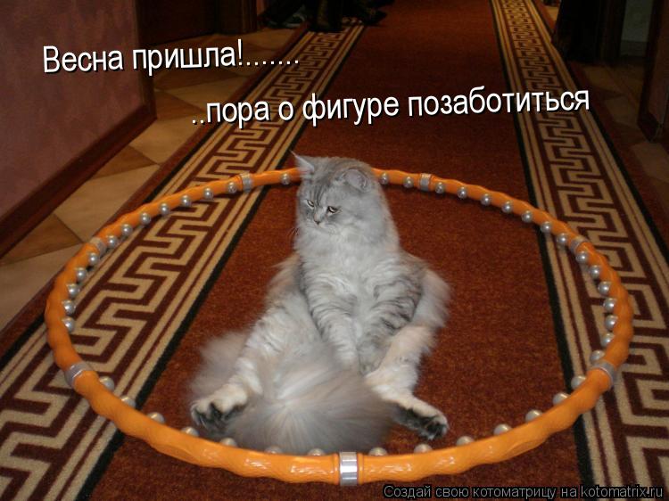 Весна пришла!.... Весна пришла!....... ..пора о фигуре позаботиться... Котоматрица: Весна пришла!.... Весна пришла!....... ..пора о фигуре позаботиться
