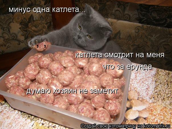 минус одна катлета... думаю хозяин не заметит катлета смотрит на меня что за ерунда , ,... Котоматрица: минус одна катлета... думаю хозяин не заметит катлета смотрит на меня что за ерунда , ,