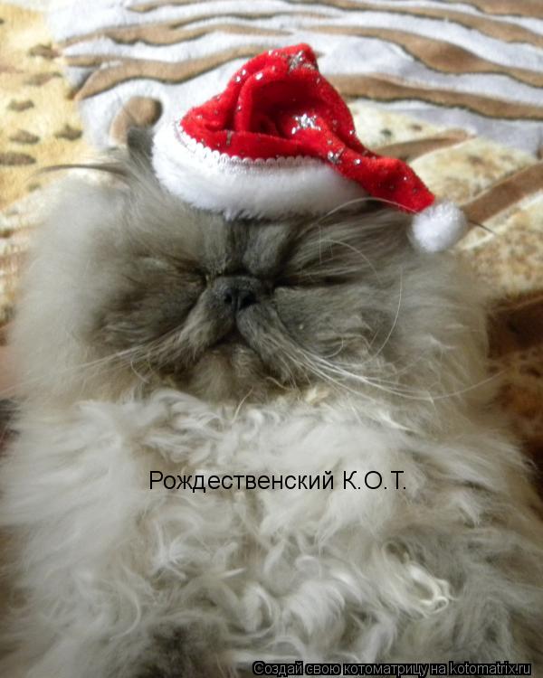 Рождественский К.О.Т.... Котоматрица: Рождественский К.О.Т.