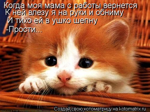 Когда моя мама с работы вернется К ней влезу я на руки и обниму И тихо ей в ушко шепну -Прости...... Котоматрица: Когда моя мама с работы вернется К ней влезу я на руки и обниму И тихо ей в ушко шепну -Прости...