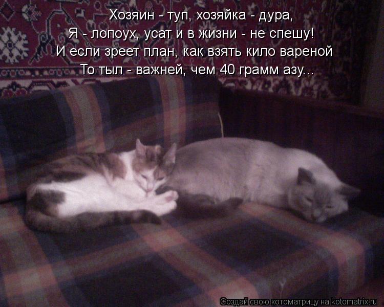 Хозяин - туп, хозяйка - дура, Хозяин - туп, хозяйка - дура, Я - лопоух, усат и в жизни - не спешу! И ... Котоматрица: Хозяин - туп, хозяйка - дура, Хозяин - туп, хозяйка - дура, Я - лопоух, усат и в жизни - не спешу! И если зреет план, как взять кило вареной То тыл -